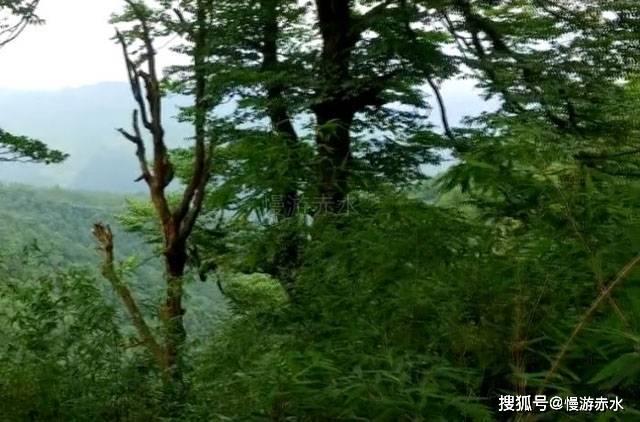 解锁你的吉鹿力 | 豪爵新悦星125摩托车把手堵头拆除了有什么影响没有?问答社区