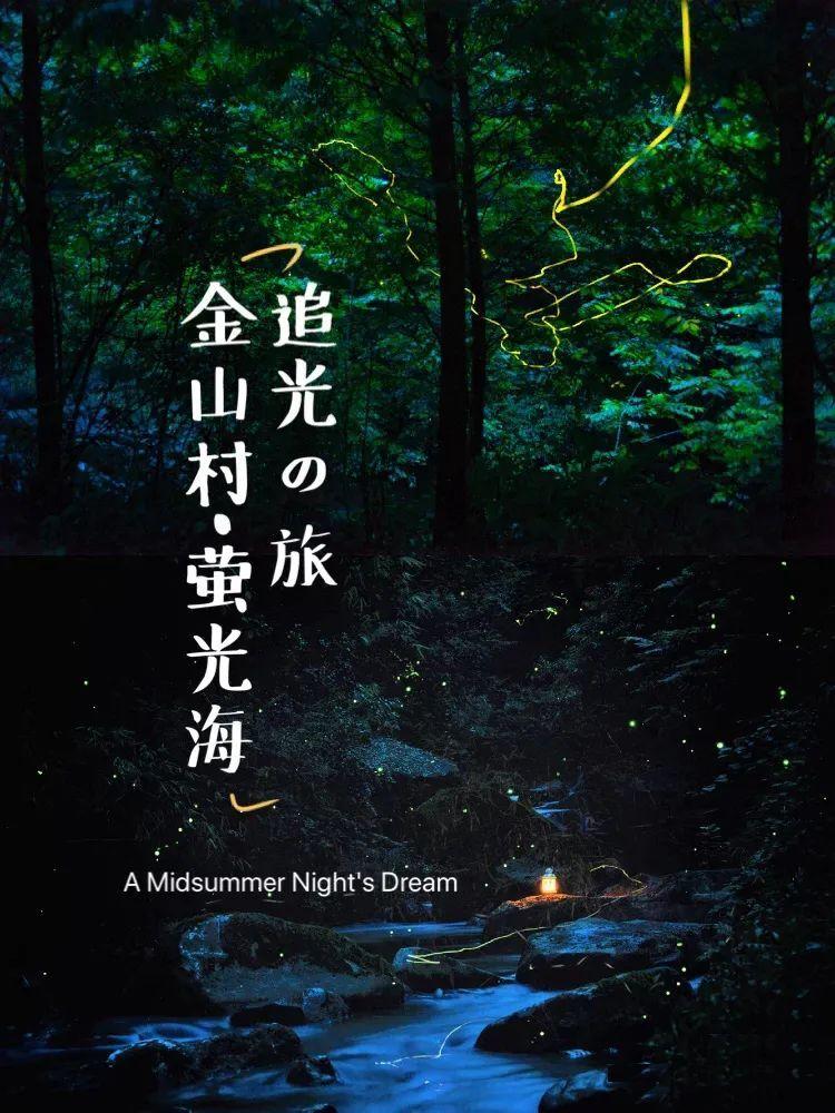 机智问答网页-提供聪明解答的河北晋州交通违章查询平台