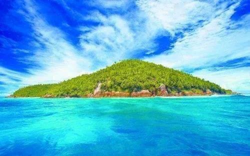 你们知道这是什么东西吗？